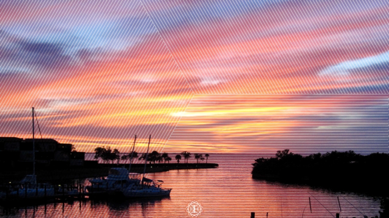 Being Gracious with Everyone Even as Darkness is being Sown