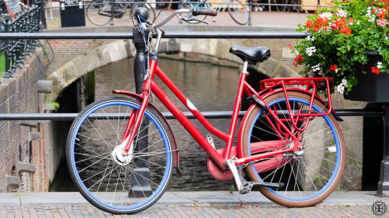 Jesus Enters into my Joys and Sorrows