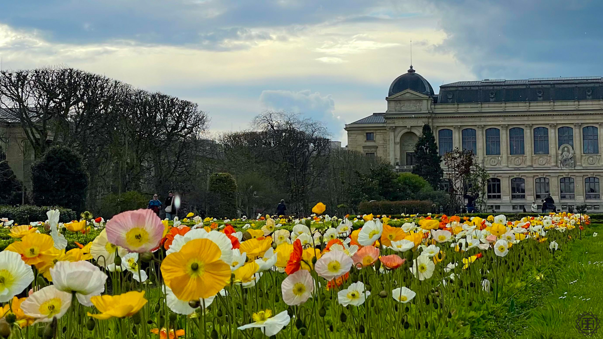 With Your Light, Lord, Now I See