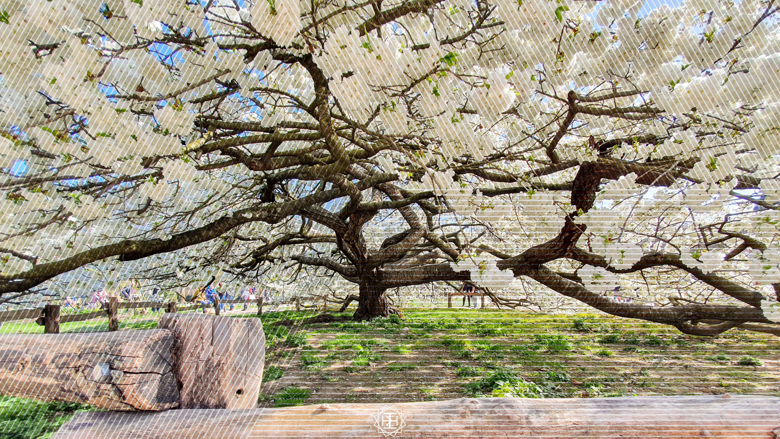 The Expanse of God’s Love for me Nurtures my Love for Him