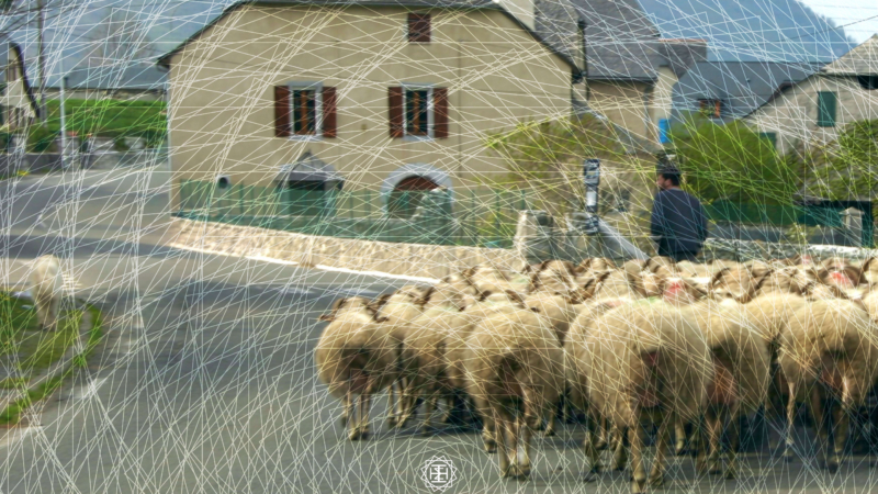 Hearing Jesus through the Noise in My Life